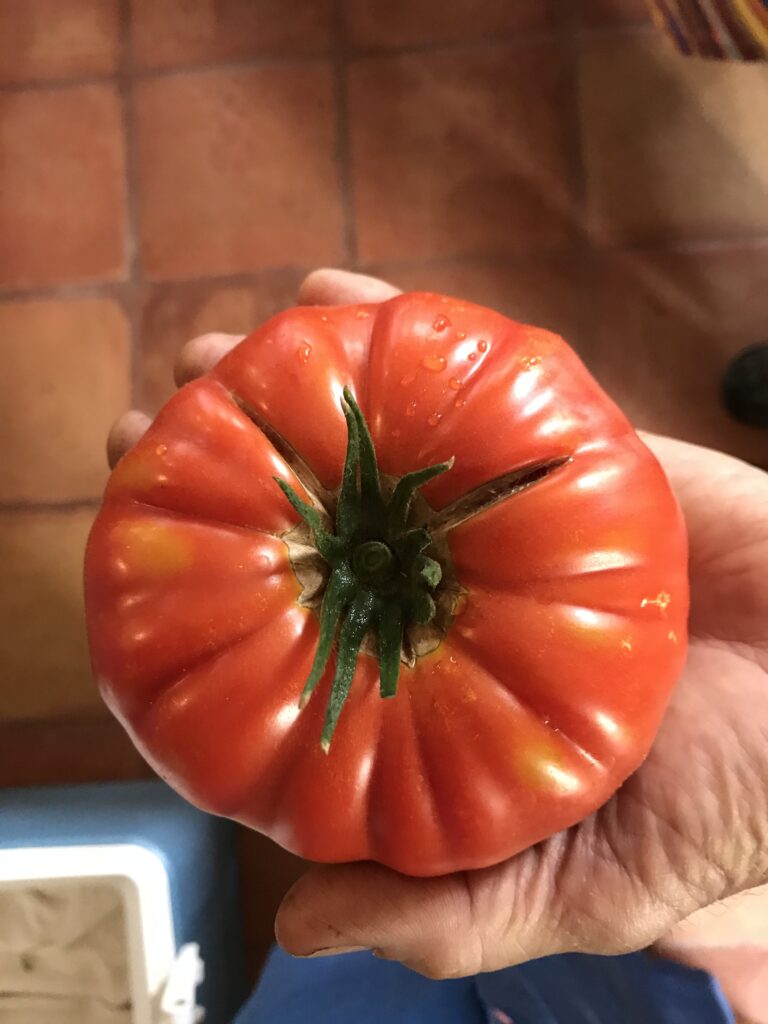 Buffalo Steak Tomato (per lb.) – Pagosa Springs Farmers Market